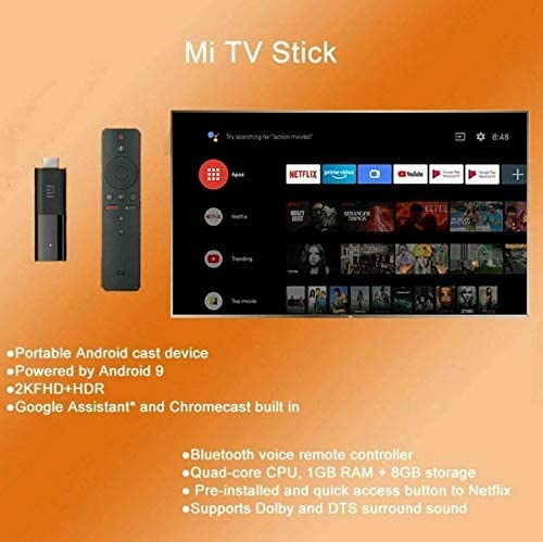 Global Version USB Mini Quad-Core Dts Dual Decoding Google Assistant  Netflix 1GB 8GB 2K Mi Xiaomi TV Stick - China Mi TV Stick, Mi Stick TV