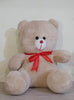 Big Teddy Bear Hugs for Her A Soft, Safe, and Lovable Gift for Special Days