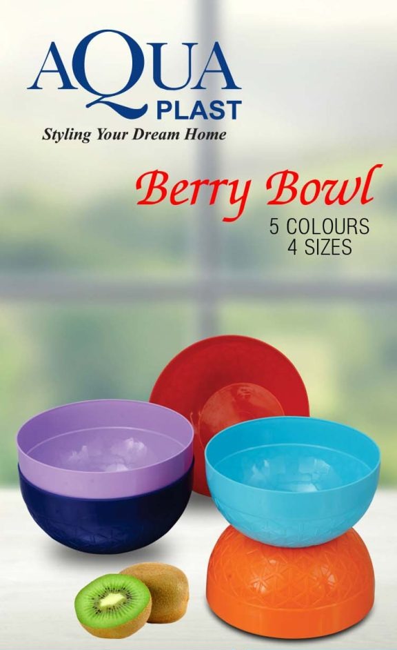 Large Size Berry Bowl Multi Color Kitchen Vegetable and Fruit Bowl