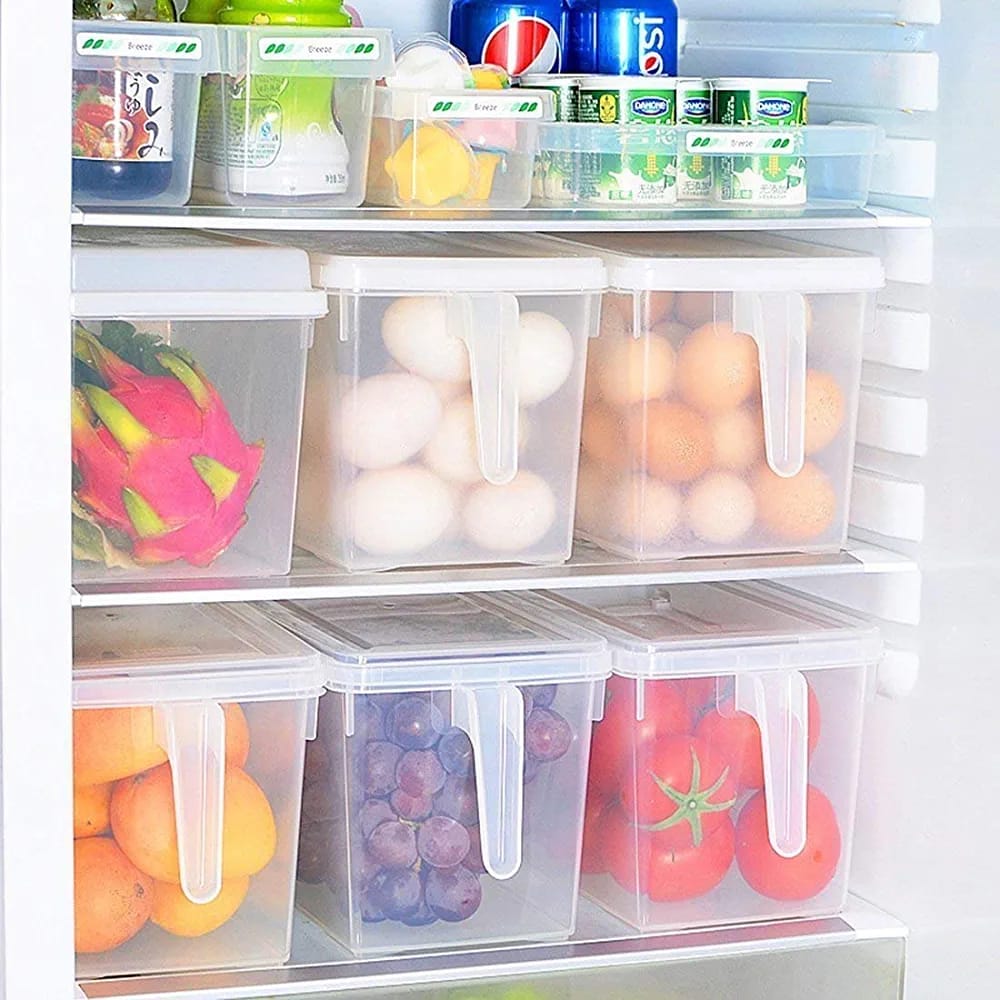 Toxen Plastic Refrigerator Organizer Container Square Handle Food Storage Organizer Boxes - Clear with Lid, Handle and 3 Smaller Bins Multicolour